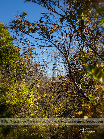 Montauk Point SP