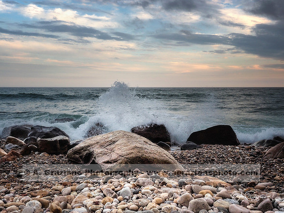Andy Warhol Preserve, Montauk