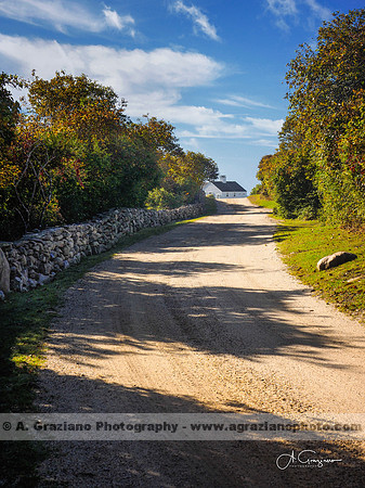 Andy Warhol Preserve, Montauk