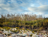 Andy Warhol Preserve, Montauk