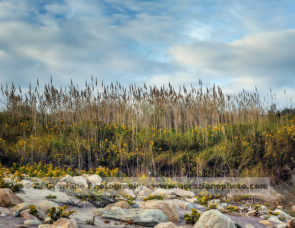 Andy Warhol Preserve, Montauk