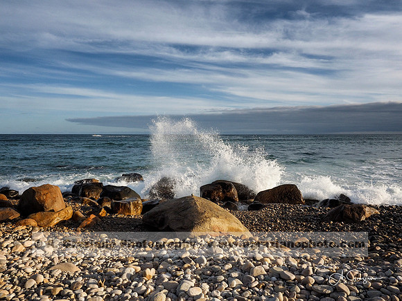 Andy Warhol Preserve, Montauk