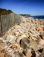 Andy Warhol Preserve, Montauk