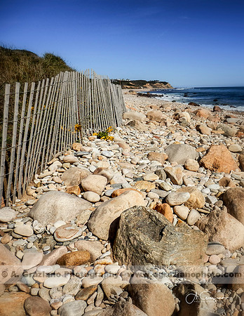 Andy Warhol Preserve, Montauk