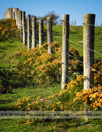 Deep Hollow Ranch, Montauk
