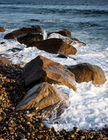 Andy Warhol Preserve, Montauk