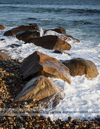 Andy Warhol Preserve, Montauk
