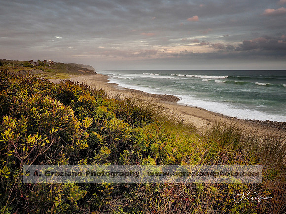 Andy Warhol Preserve, Montauk