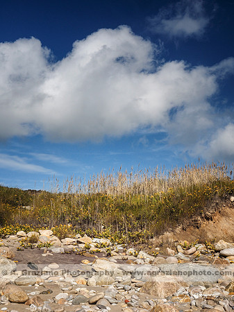 Andy Warhol Preserve, Montauk