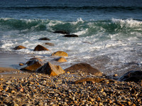 Andy Warhol Preserve, Montauk