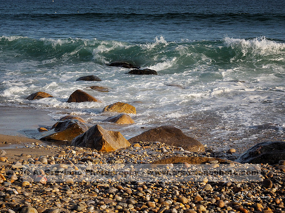 Andy Warhol Preserve, Montauk