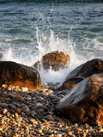 Andy Warhol Preserve, Montauk