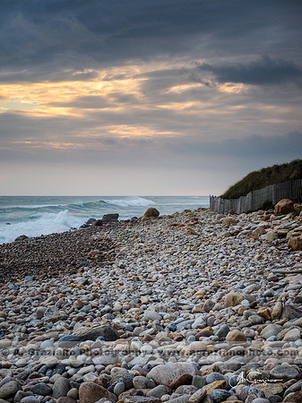 Andy Warhol Preserve, Montauk