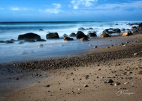 Andy Warhol Preserve, Montauk