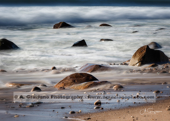 Andy Warhol Preserve, Montauk