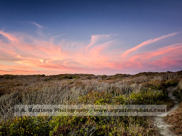 Amsterdam Beach Bluffs, Montauk