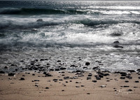 Andy Warhol Preserve, Montauk