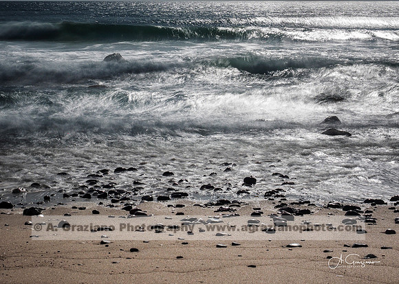 Andy Warhol Preserve, Montauk