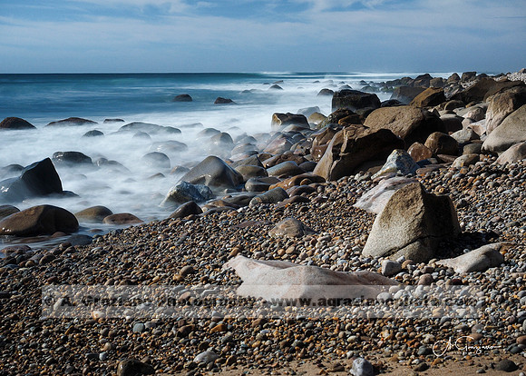 Andy Warhol Preserve, Montauk
