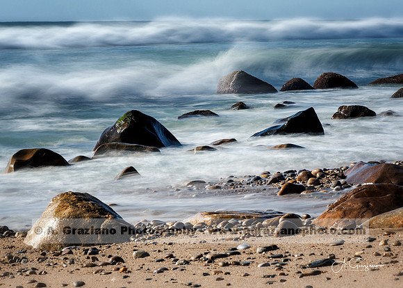Andy Warhol Preserve, Montauk