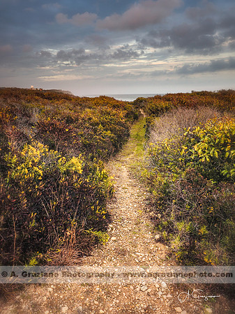 Andy Warhol Preserve, Montauk