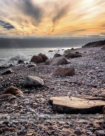 Andy Warhol Preserve, Montauk