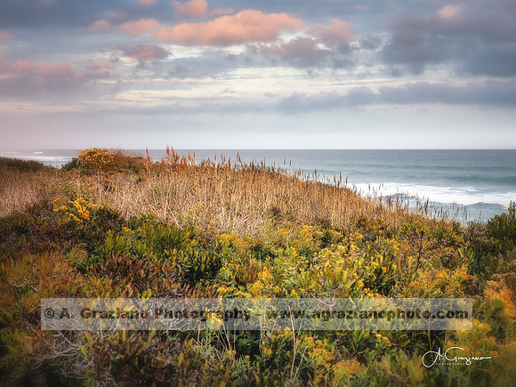 Andy Warhol Preserve, Montauk