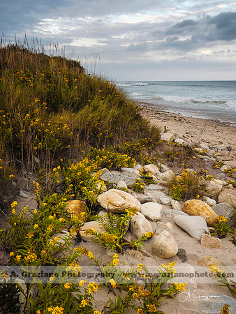 Andy Warhol Preserve, Montauk