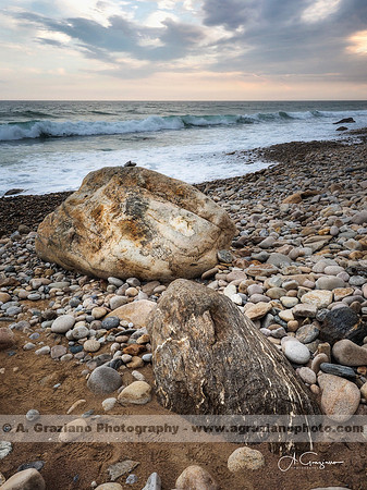 Andy Warhol Preserve, Montauk