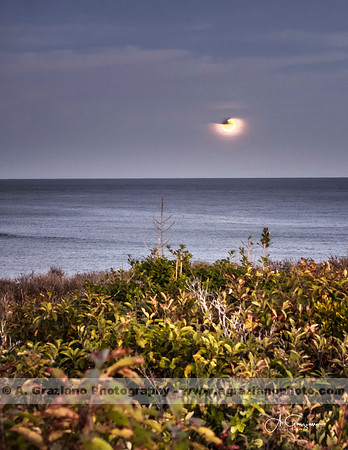 Amsterdam Beach Bluffs, Montauk