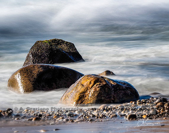 Andy Warhol Preserve, Montauk