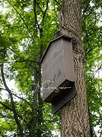 National Trail Day at Upland Farm 2025