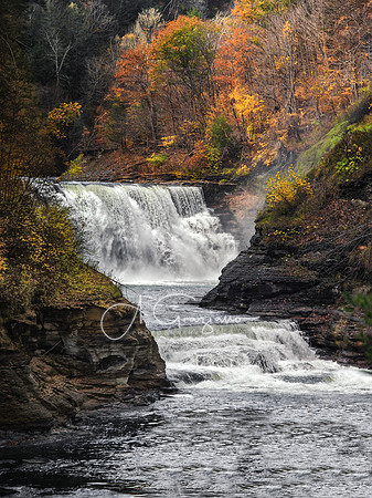 Lower Falls - Letchworth