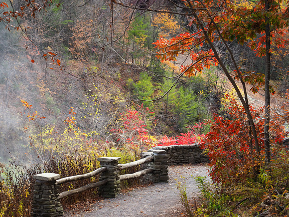 Fall Vibrance
