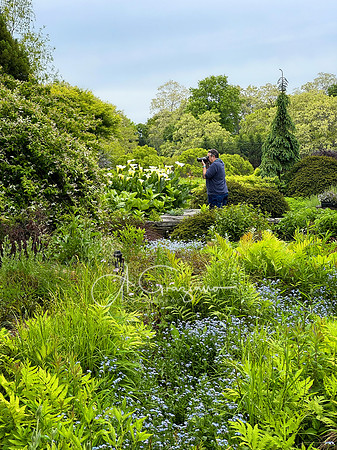 Landcraft Gardens Workshop 2025