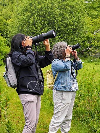 Landcraft Gardens Workshop 2025