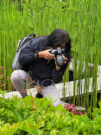 Landcraft Gardens Workshop 2025