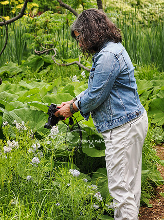 Landcraft Gardens Workshop 2025