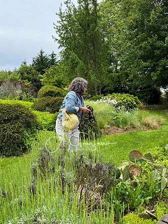 Landcraft Gardens Workshop 2025