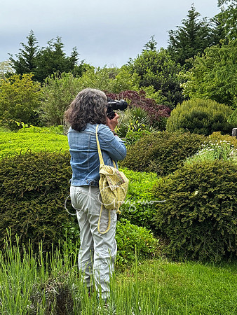 Landcraft Gardens Workshop 2025