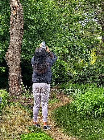 Landcraft Gardens Workshop 2025