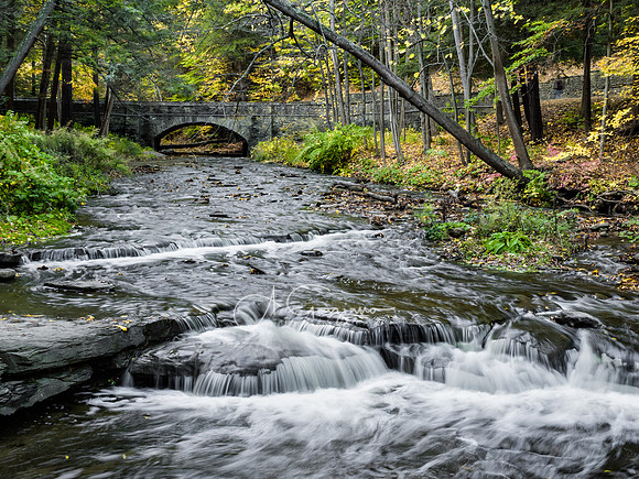 Wolf Creek Area - Letchworth Workshop