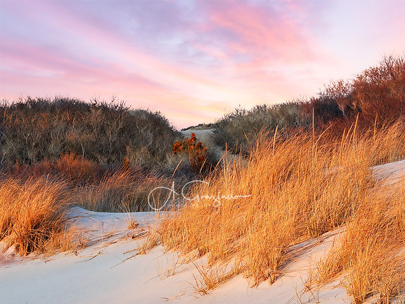 Dunes at Dusk