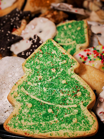 Mashomack Holiday Open House 2025