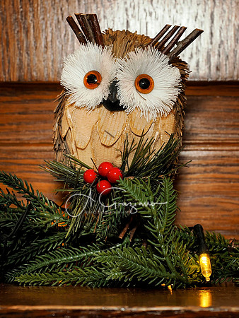 Mashomack Holiday Open House 2025