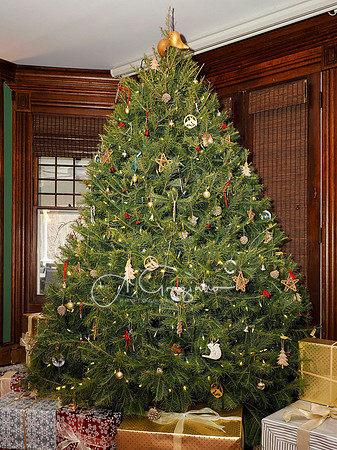 Mashomack Holiday Open House 2025
