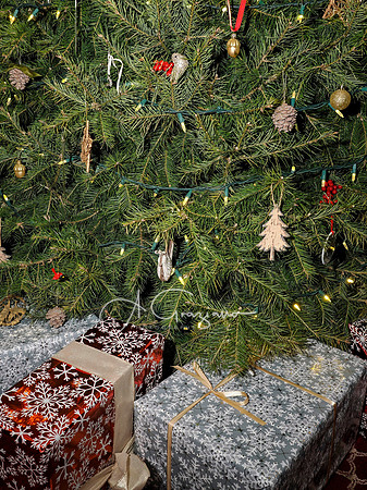 Mashomack Holiday Open House 2025