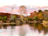 Still Waters - Patriots Park, Shirley