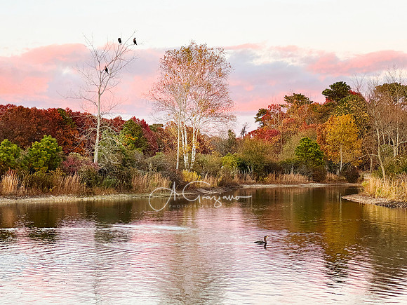 Still Waters - Patriots Park, Shirley