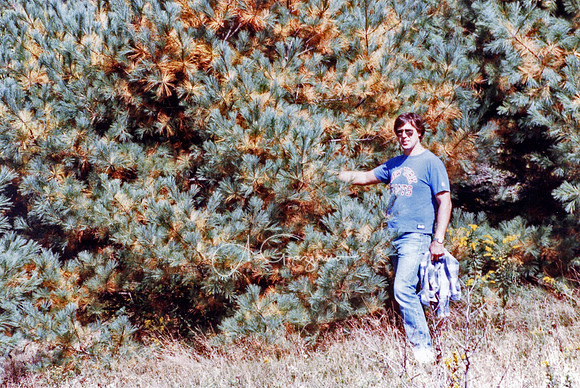 Camping Property 1988